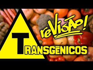 O que são os transgênicos? | Biologia