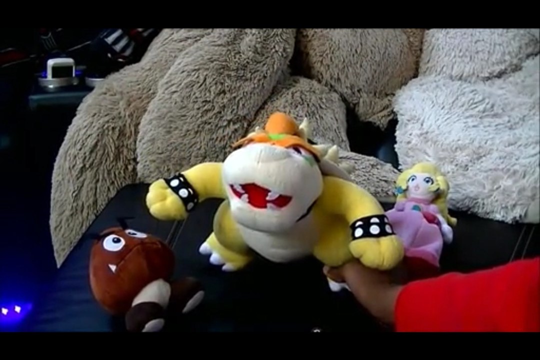 Bowser's Show