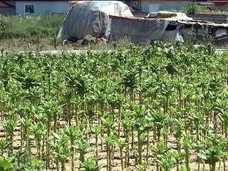 Lajmet RTB 16.10.2015