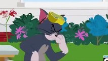 c n tom and jerry tom and jerry videos f