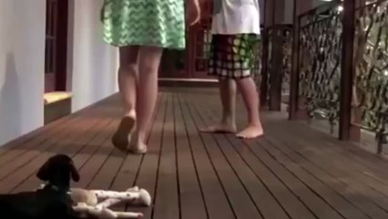 Brave Little Dog Protecting Owner from Bad Guy | Dog Defends Owner Against Aggression | Cu