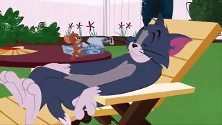 tom and jerry youtube tom and jerry c'est la vie