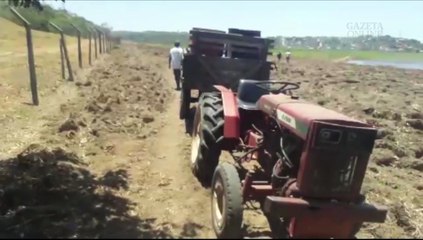 Diretor da Defesa Civil da Serra flagra trabalhadores colocando fogo em área de turfa