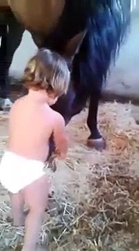 Baby Playing With Horse - Baby Loves Horse / Very Cute and Funny Video / Cute Animals / Ho