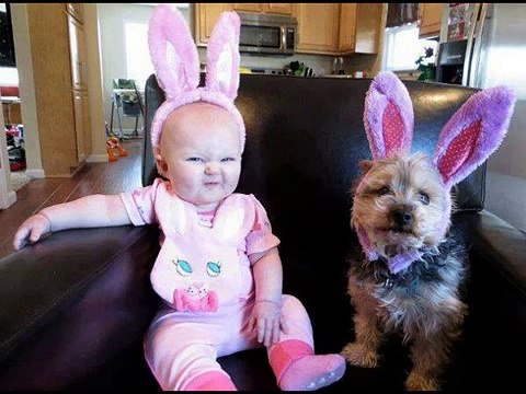 O melhor video de bebes e seus animais de estimacao de todos os tempos