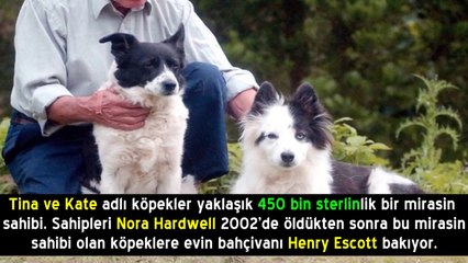 Dünyanın En Zengin 15 İnsanı