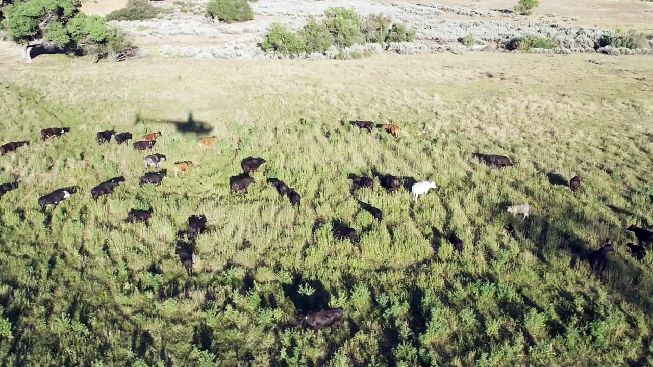 Highest air on a skateboard (quarterpipe) - Guinness World Records