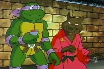 Tortues Ninja Les Chevaliers décaille S05E06 - Sale temps pour Donatello