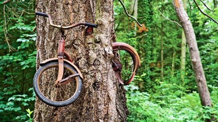 10 РЕАЛЬНЫХ ФОТО В КОТОРЫЕ СЛОЖНО ПОВЕРИТЬ!