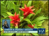 Las orquídeas y el chocolate juntos en el jardín botánico de Quito