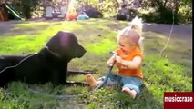 Funny Videos - Babies Laughing at Dogs - Cute dog & baby compilation