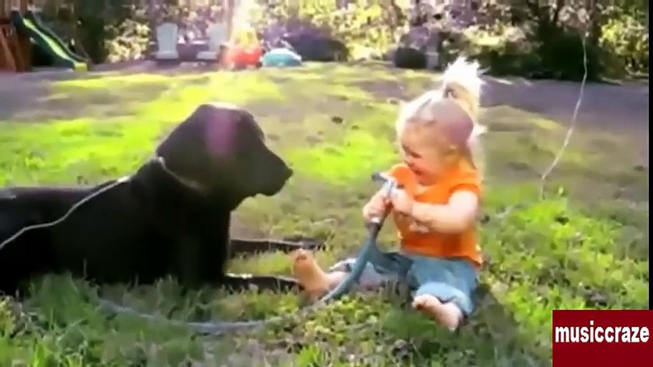 Funny Videos - Babies Laughing at Dogs - Cute dog & baby compilation