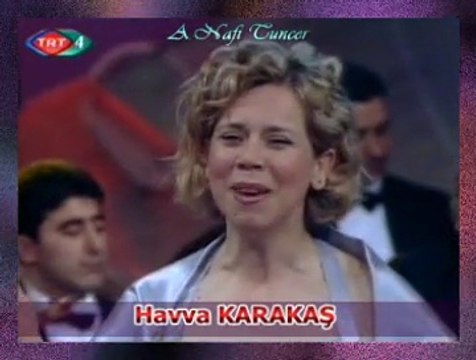 Havva KARAKAŞ *Hasan Orak Biçiyor* (2)