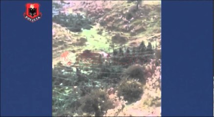 "Llufa", 3.2 ton kanabis u sekuestruan sot në Kurvelesh, poseduesit në kërkim- Ora News