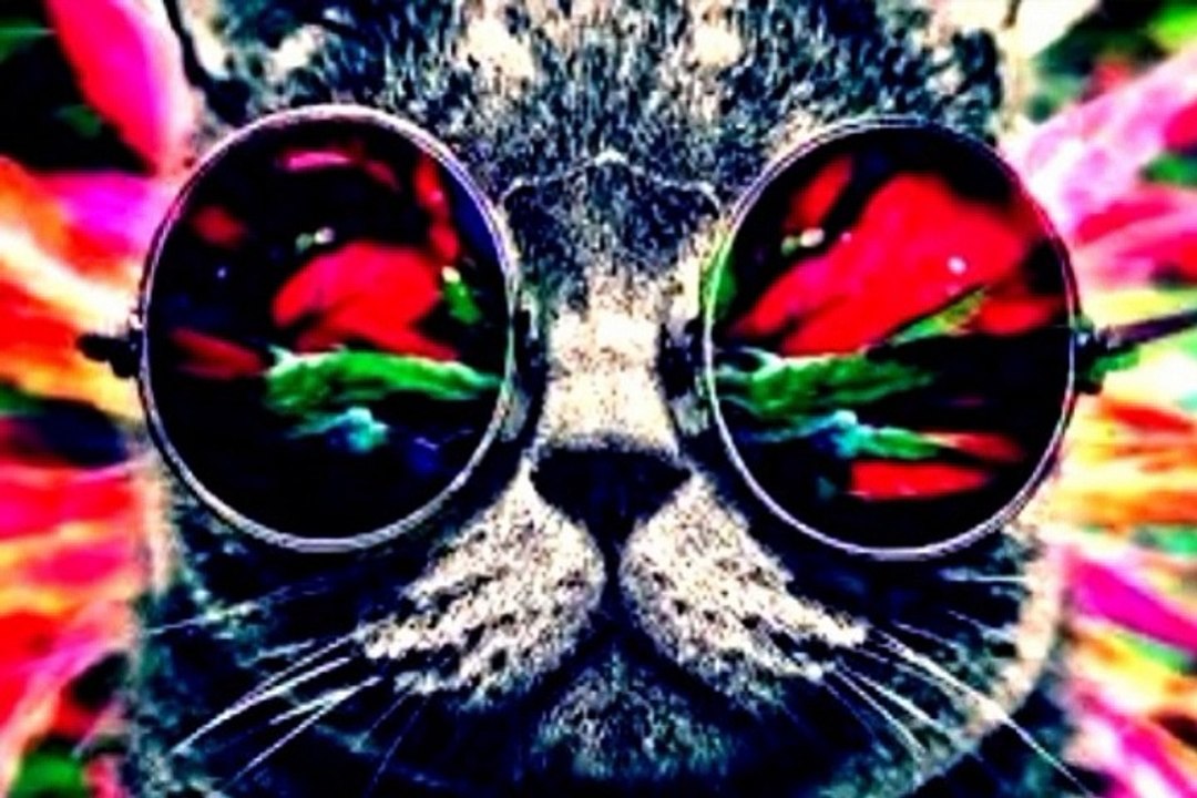 Relax Area [Dj Catan Track]