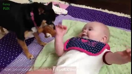 Puppies and Babies Playing Together Compilation 2014 [HD]