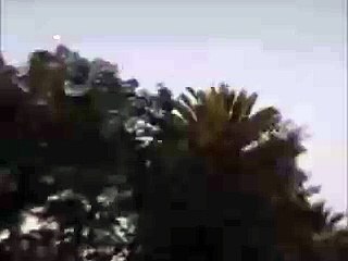 UFO Caught On Tape Near Trees