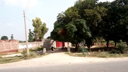 QMobile NOIR S5 Video Sample - 1080p