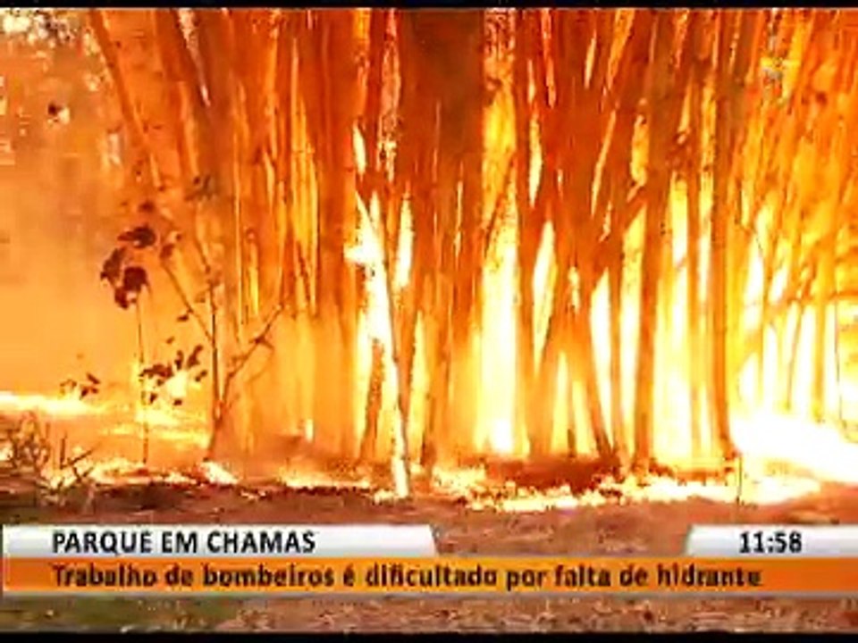 PARQUE EM CHAMAS