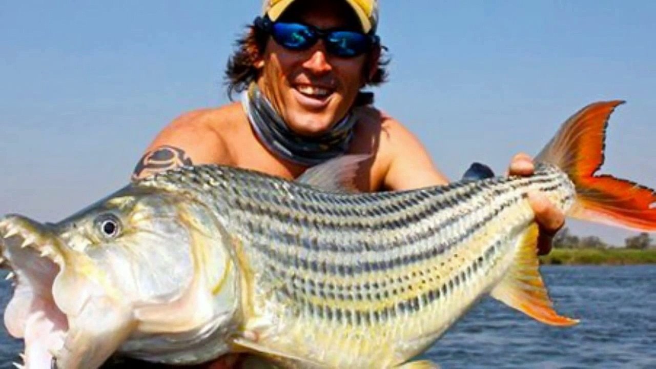Top 10 Dangerous and Deadliest Fishes in the World