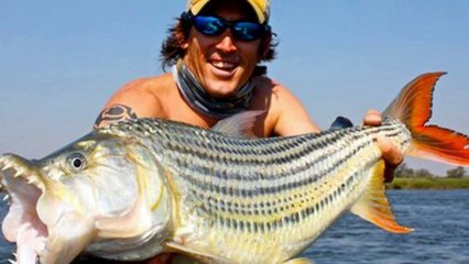 Top 10 Dangerous and Deadliest Fishes in the World