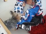 Bebeğin Üzerini Örtmek İçin Yoğun Çaba Sarf Eden Köpek - İlginç - Garip