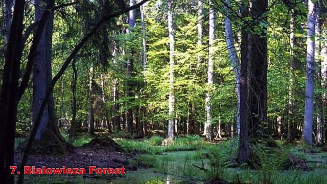 TOP 10 MOST EXOTIC PLACES TO VISIT - EXOTIC HOLIDAYS