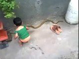 3 Year Old Child Lifting the snake