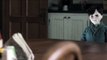The Boy Official Trailer 1 (2016) - Lauren Cohan Rupert Evans Horror Movie HD