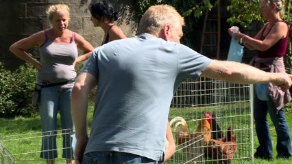 Cinderella: Ella's Furry Friends