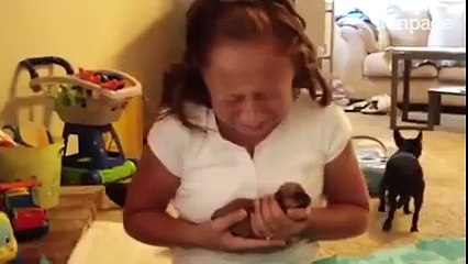 Quando il regalo è un cane