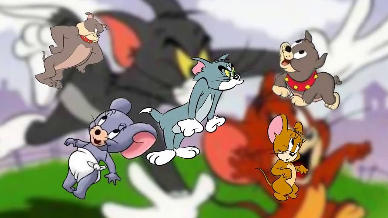 Finger Family Tom and Jerry | Finger Family Cat | Tom and Jerry Cartoon Nursery Rhymes
