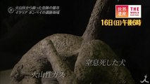 ワインと美食! 古代の先進都市 8/16（日）『世界遺産』「 ポンペイ�