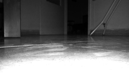 Адский котэ!!)))