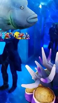 VID-20151004-WA0013.mp4