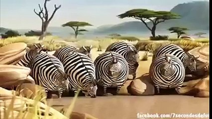 Si les animaux étaient obèses MDDRRR