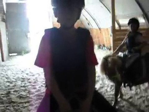 Les poneys de Sophie 77 stages vacances initiation Horse-ball