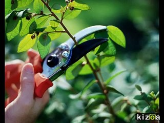 Home Improvement and Repair for Selling Your House