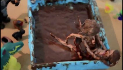 BARBIE MUD WRESTLING