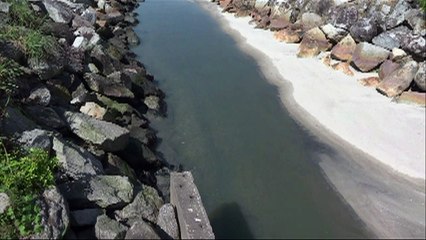 OMS que mais testes de água no Rio