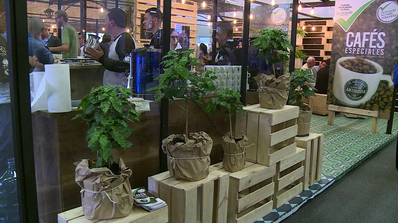 World coffee consumption almost doubled in last 20 years