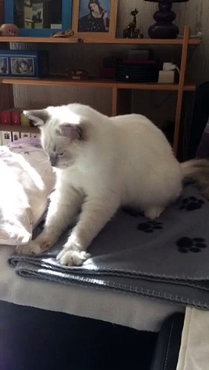 LOUKI, heureux d'être heureux