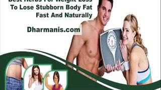 Best Herbs For Weight Loss To Lose Stubborn Body Fat Fast And Naturally