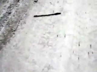 Первый раз такое в своей жизни вижу