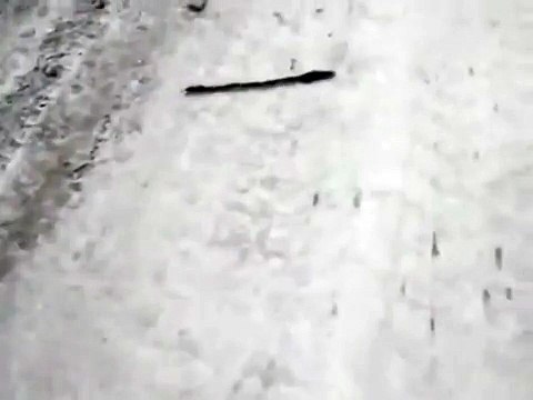 Первый раз такое в своей жизни вижу