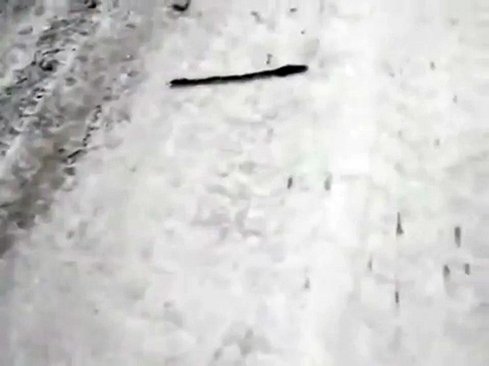 Первый раз такое в своей жизни вижу
