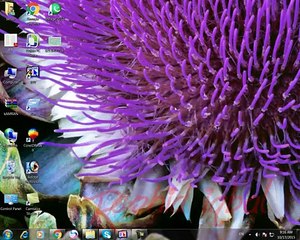 Oracle Urdu Class 09