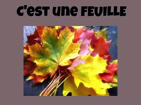 LE LIVRE DE TRACES DE L'AUTOMNE