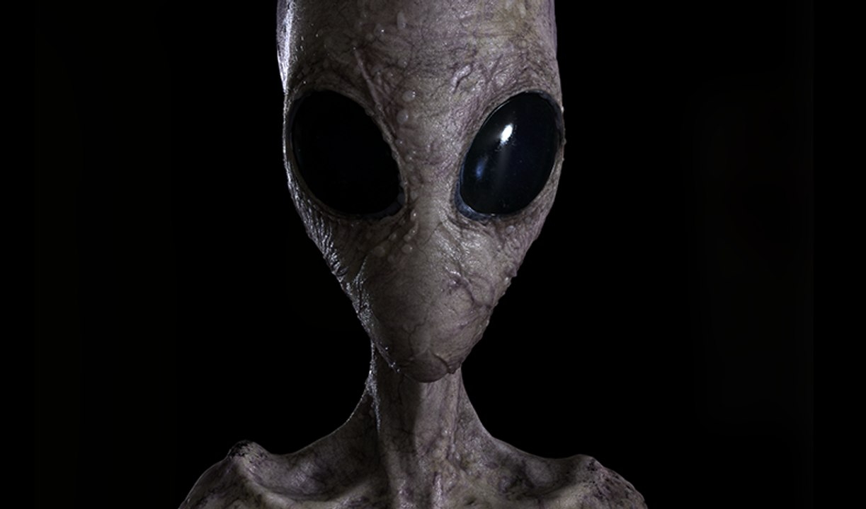 Monstre aperçu dans les poubelles à Paris !!!