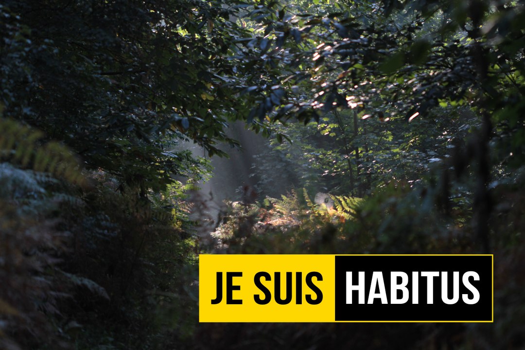 Je suis HABITus